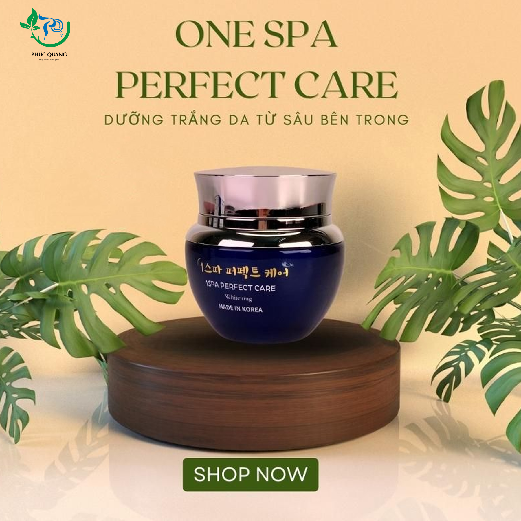 KEM TRỊ NÁM ONE SPA PERFECT CARE